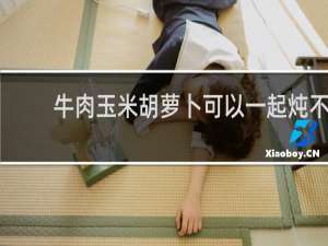 牛肉玉米胡萝卜可以一起炖不