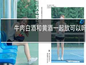 牛肉白酒和黄酒一起放可以吗