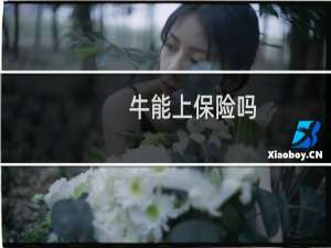 牛能上保险吗