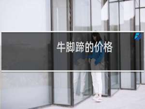 牛脚蹄的价格