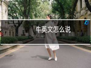 牛英文怎么说