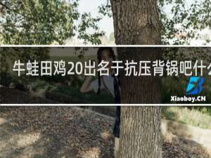 牛蛙田鸡 出名于抗压背锅吧什么梗
