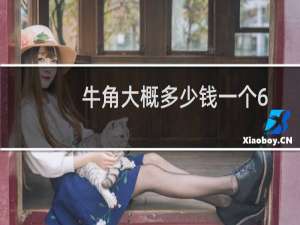 牛角大概多少钱一个6