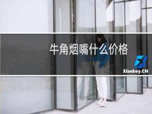 牛角烟嘴什么价格