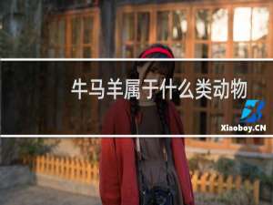 牛马羊属于什么类动物