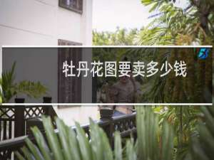 牡丹花图要卖多少钱