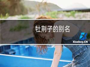 牡荆子的别名（牡荆子的功效与作用）