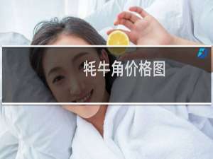 牦牛角价格图