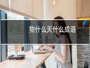 物什么天什么成语
