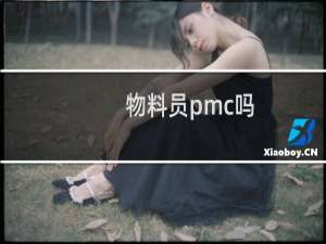 物料员pmc吗