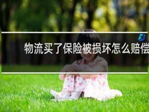 物流买了保险被损坏怎么赔偿