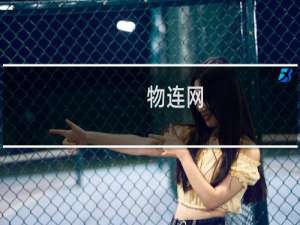 物连网