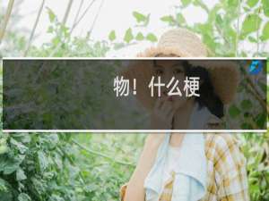 物！什么梗