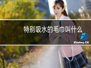 特别吸水的毛巾叫什么