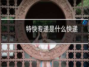 特快专递是什么快递