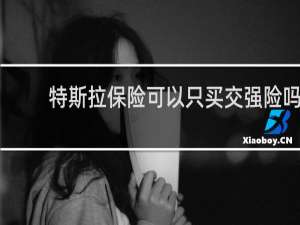 特斯拉保险可以只买交强险吗