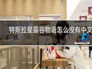 特斯拉星露谷物语怎么没有中文了