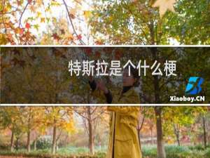 特斯拉是个什么梗