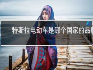 特斯拉电动车是哪个国家的品牌