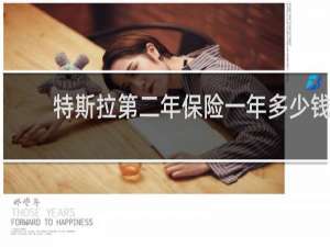 特斯拉第二年保险一年多少钱