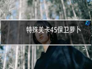 特殊关卡45保卫萝卜