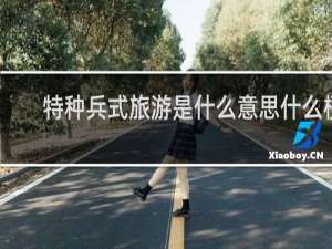 特种兵式旅游是什么意思什么梗