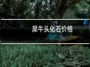 犀牛头化石价格