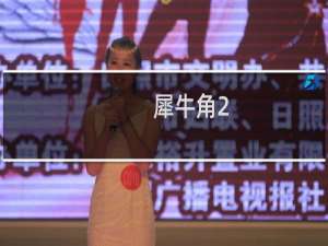 犀牛角2.0珠子有多少克