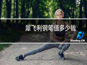 犀飞利钢笔值多少钱