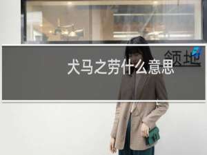 犬马之劳什么意思