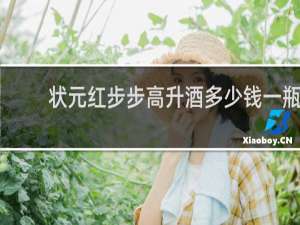状元红步步高升酒多少钱一瓶