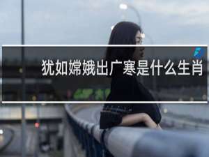 犹如嫦娥出广寒是什么生肖