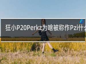 狂小P Perkz为啥被称作Pzi什么梗