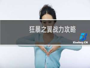 狂暴之翼战力攻略
