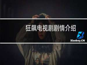 狂飙电视剧剧情介绍