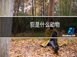 狈是什么动物