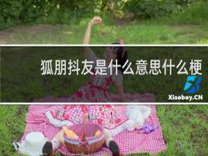 狐朋抖友是什么意思什么梗