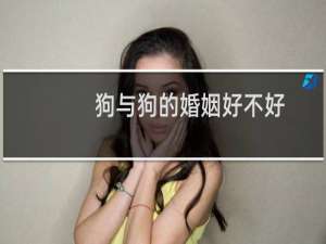 狗与狗的婚姻好不好