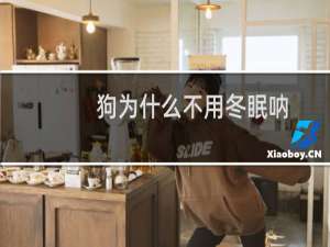 狗为什么不用冬眠呐