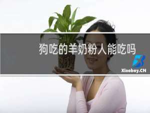 狗吃的羊奶粉人能吃吗