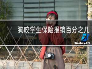 狗咬学生保险报销百分之几