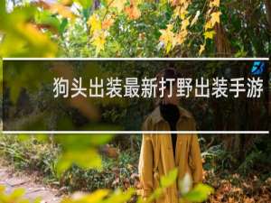狗头出装最新打野出装手游