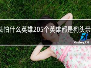 狗头怕什么英雄 5个英雄都是狗头亲爹什么梗