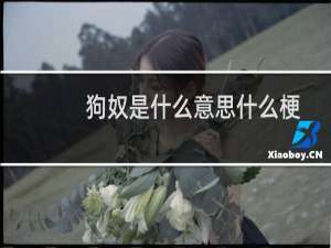 狗奴是什么意思什么梗