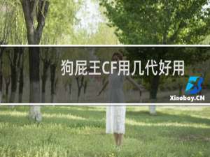 狗屁王CF用几代好用