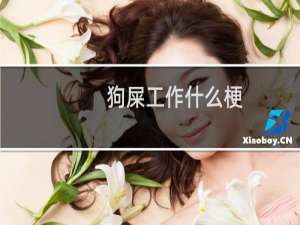 狗屎工作什么梗