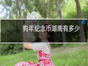 狗年纪念币湖南有多少