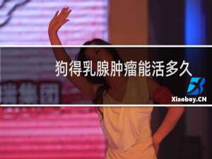 狗得乳腺肿瘤能活多久