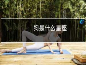 狗是什么星座