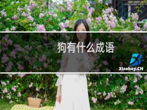 狗有什么成语